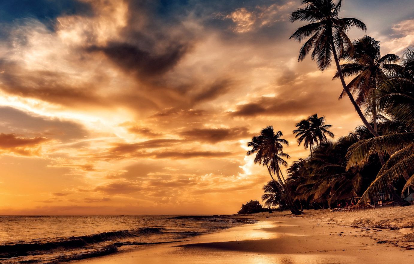 Juanillo Beach, Cap Cana at sunset with palms leaning over the sand